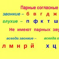 Парные согласные в русском языке для школьников и малышей Правописание слов с парной согласной в корне